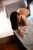 Büyükçekmece Elit Escort Bayan Elvan - Image 2