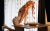 Şile Grup Escort Bayanlar Seksi Tuğçe & Bahar - Image 1